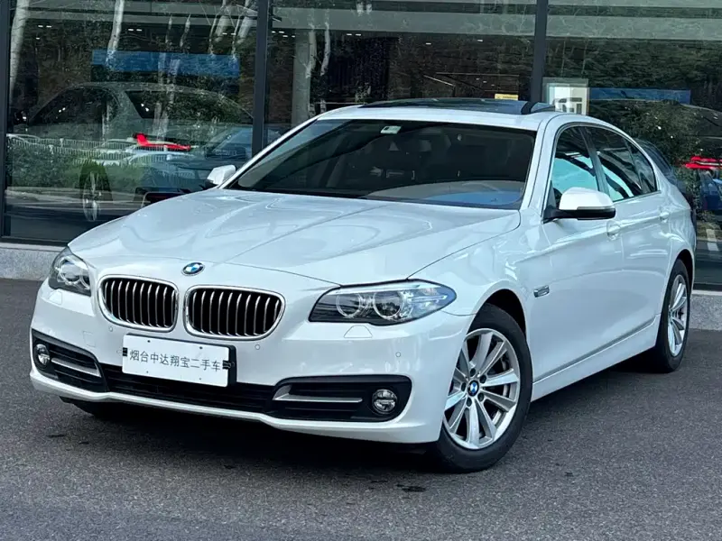 BMW 5 Series, 2016 — фото 1