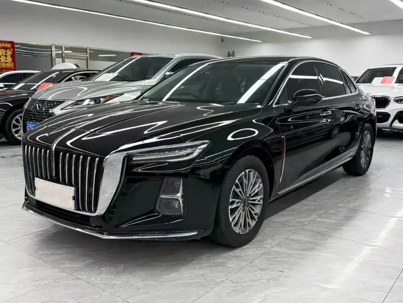Hongqi H5, 2024