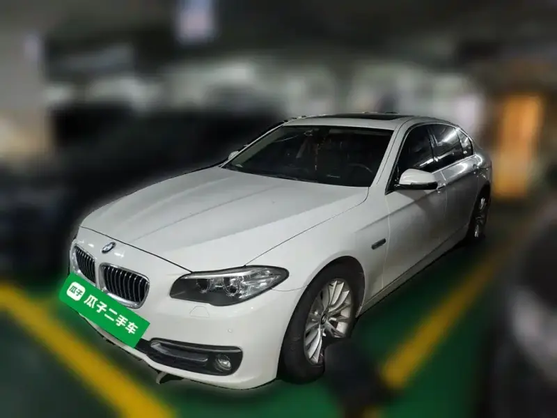 BMW 5 Series, 2016 — фото 1