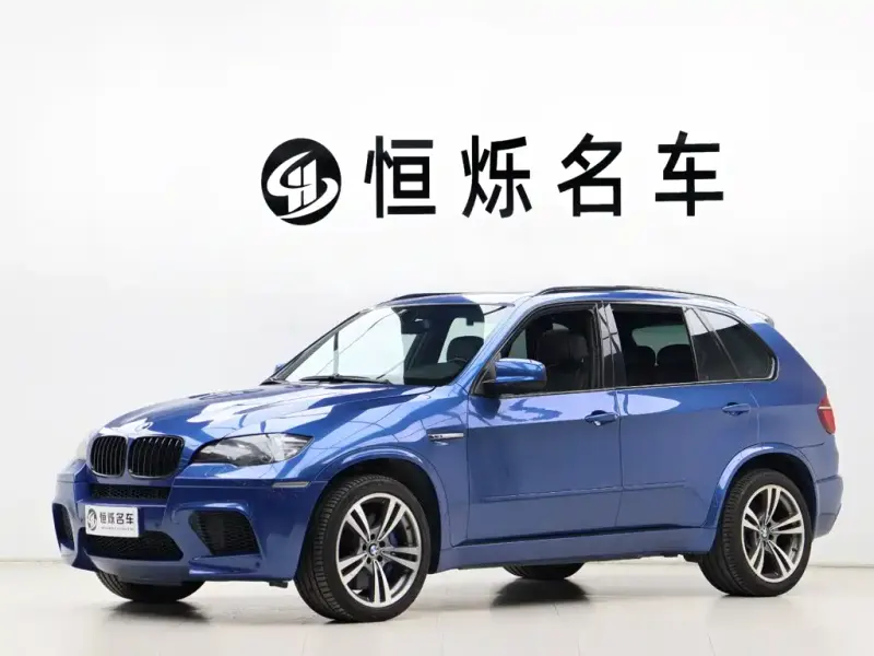 BMW X5 M, 2010 — фото 1
