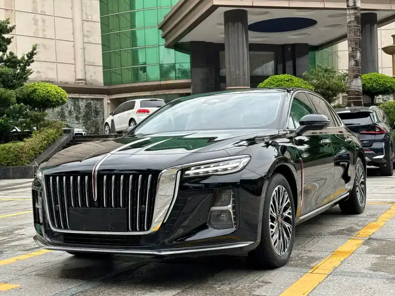Hongqi H5, 2024