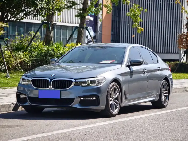 BMW 5 Series (Import), 2018 — фото 1