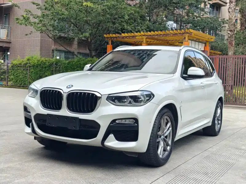BMW X3, 2019 — фото 1