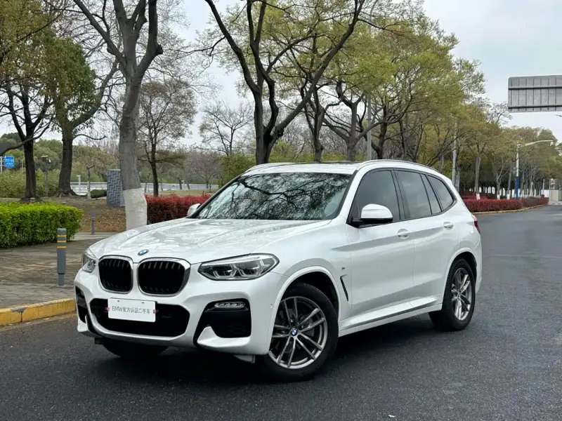 BMW X3, 2019 — фото 1