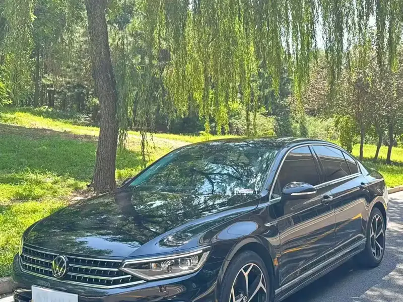 Volkswagen Magotan, 2024