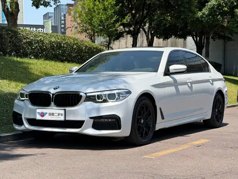 BMW 5 Series, 2019