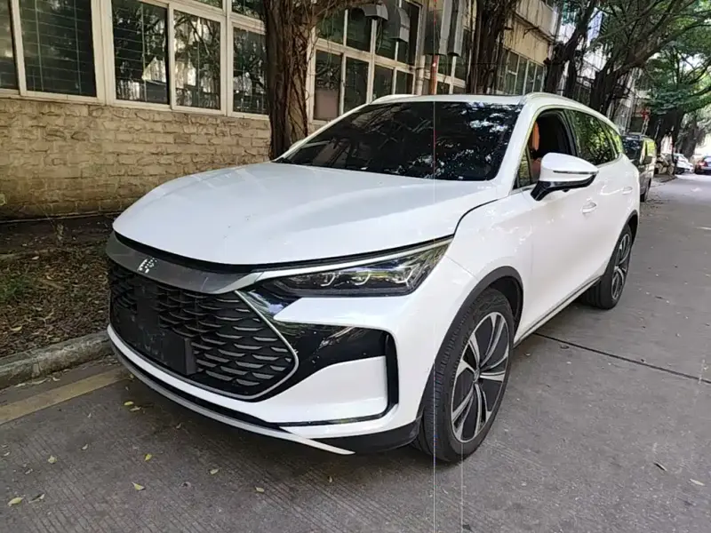BYD Tang New Energy, 2023