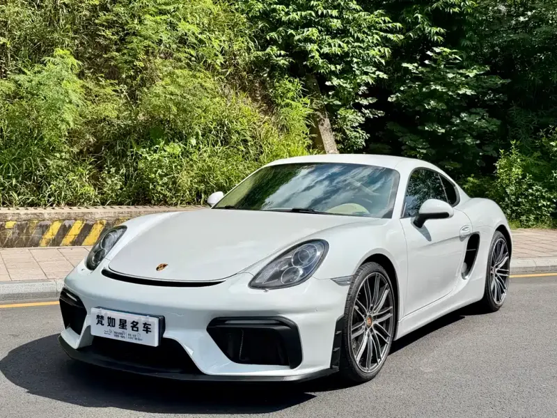Porsche Cayman, 2013
