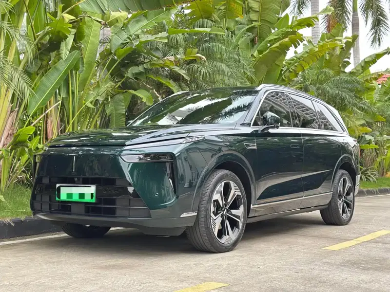 Wey Lanshan, 2024