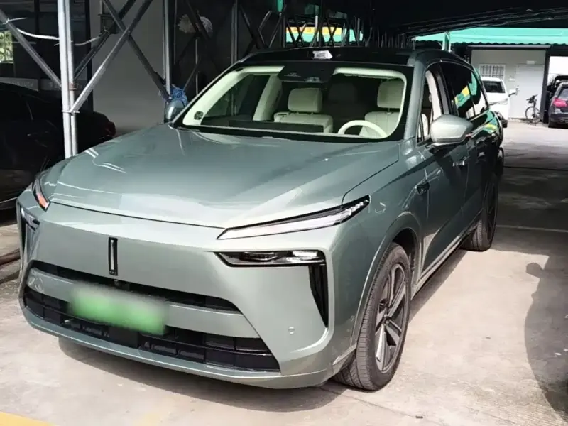 Wey Lanshan, 2024