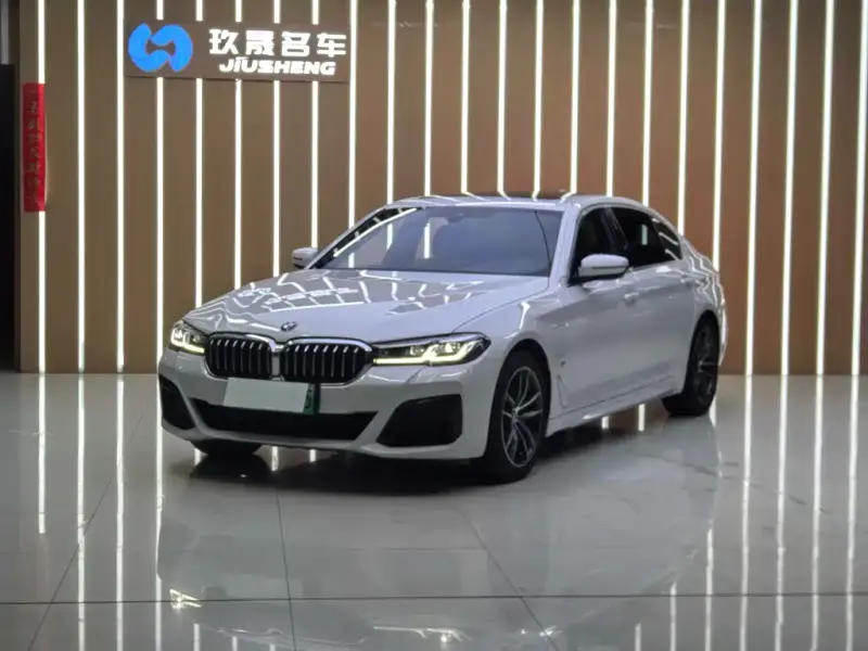 BMW 5 Series New Energy, 2021 — фото 1