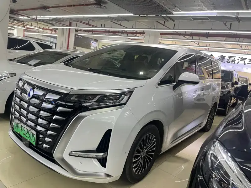 Denza D9, 2024