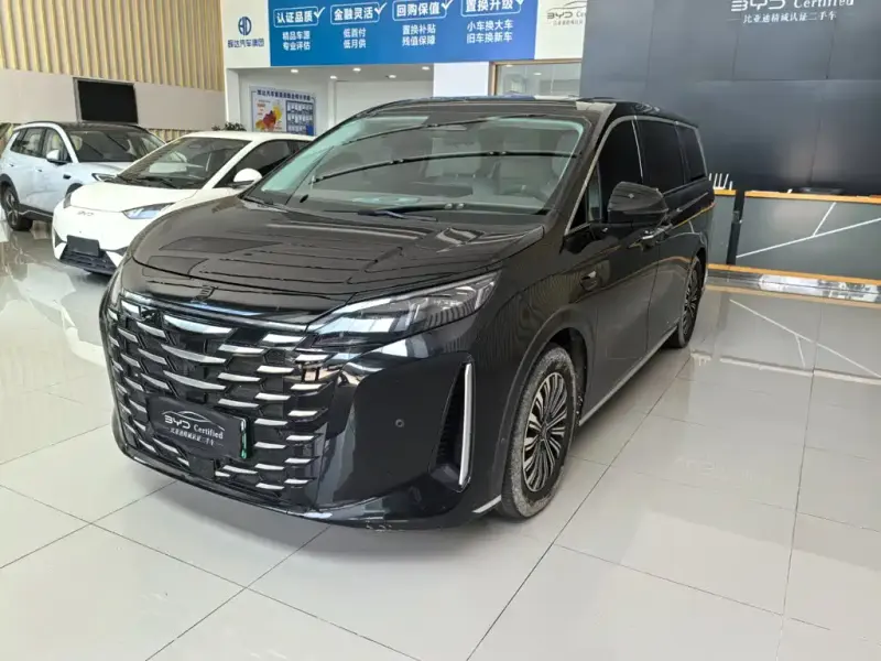 BYD Xia, 2025
