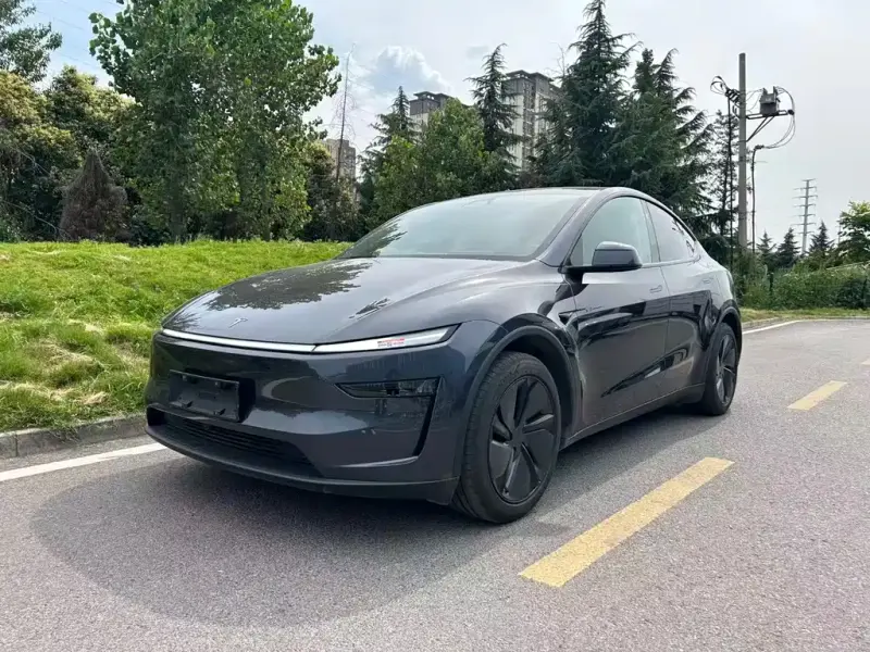 Tesla Model Y, 2025 — фото 1