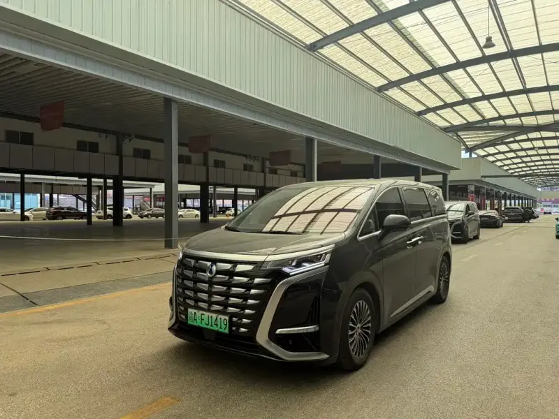 Denza D9, 2024