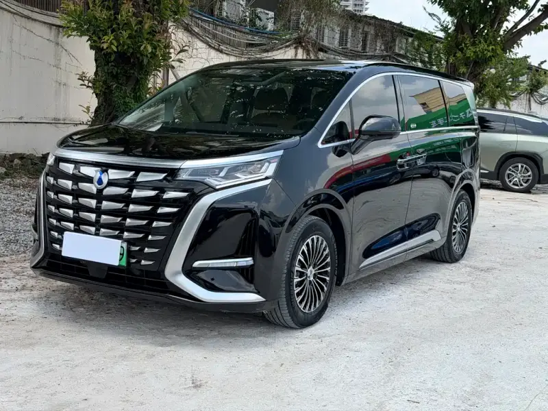 Denza D9, 2024