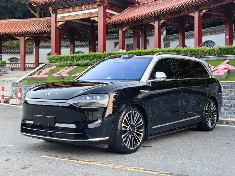 AITO M9, 2024