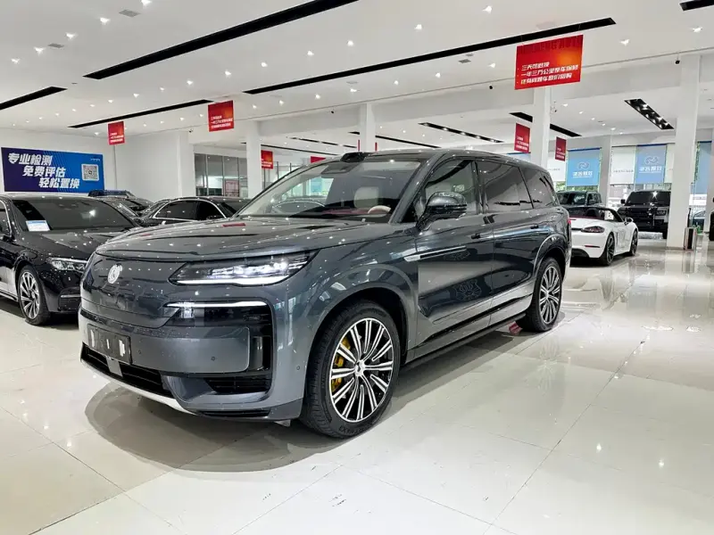 Denza N9, 2025