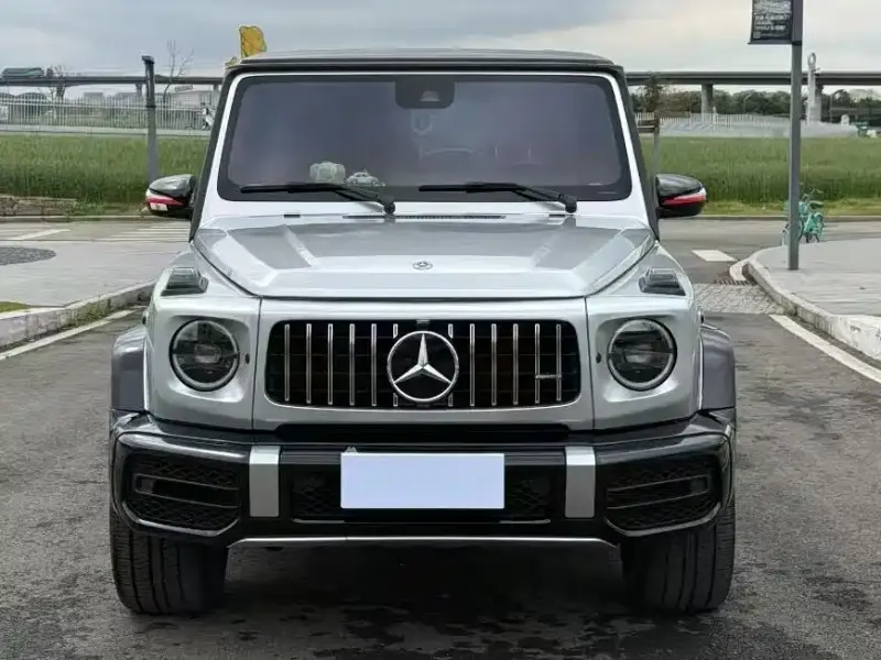 Mercedes-Benz G-Class, 2019
