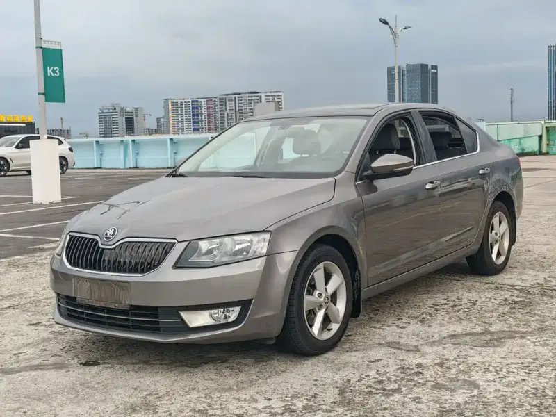 Skoda Octavia, 2014 — фото 1