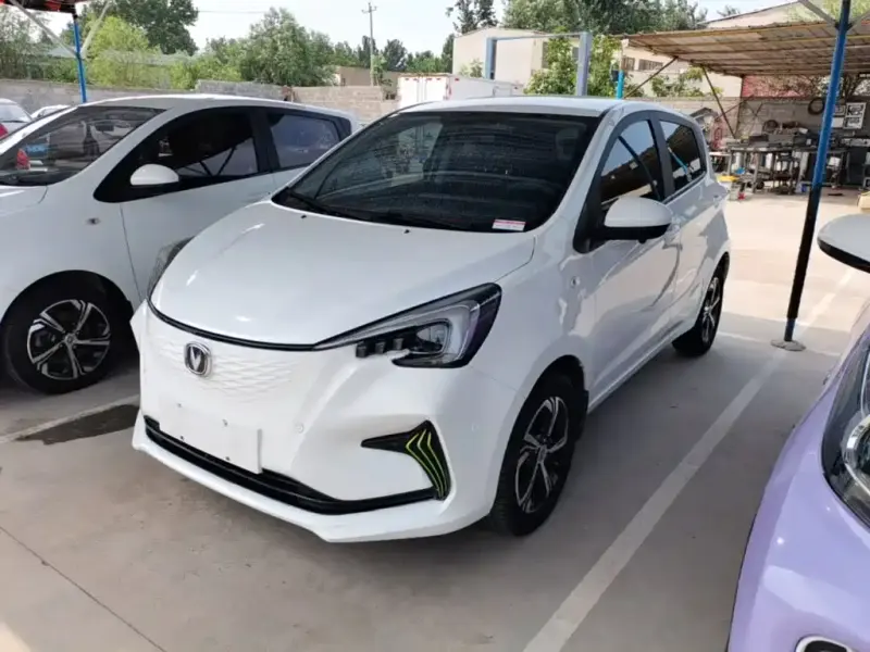Changan Benben E-Star, 2020
