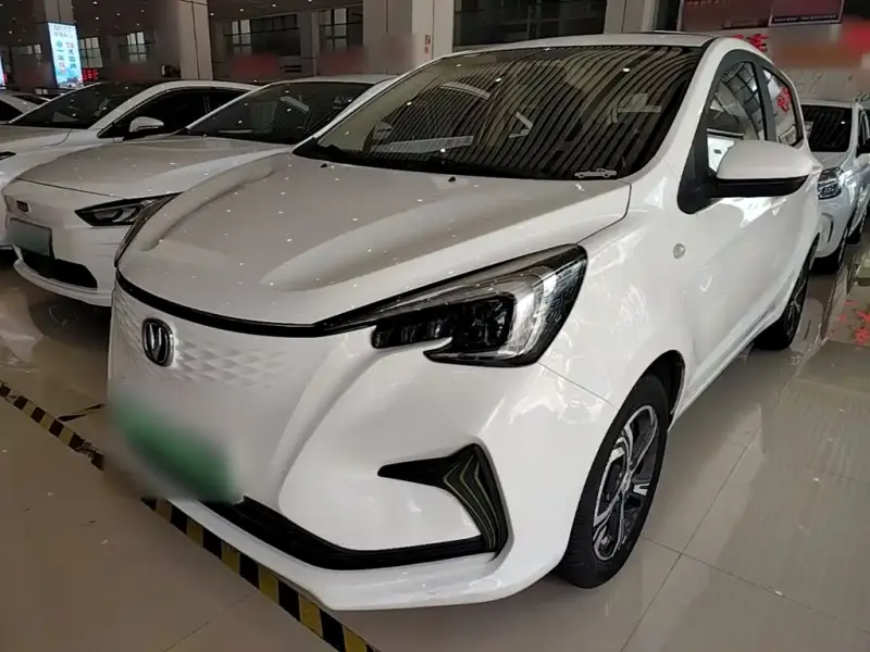Changan Benben E-Star, 2021