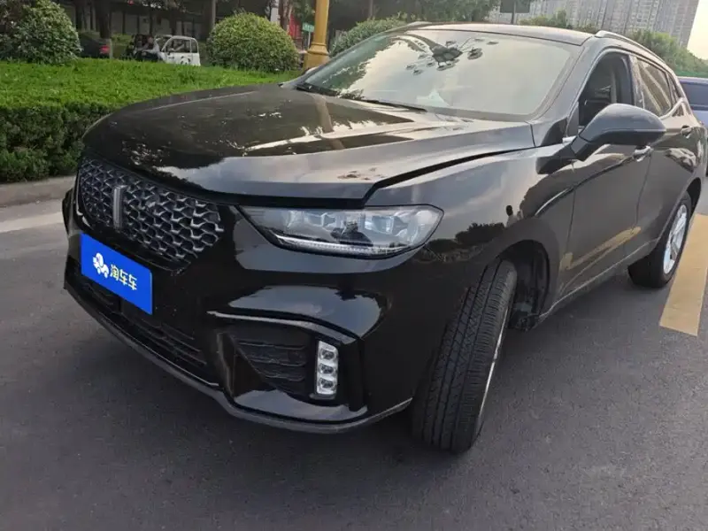 Wey VV5, 2019