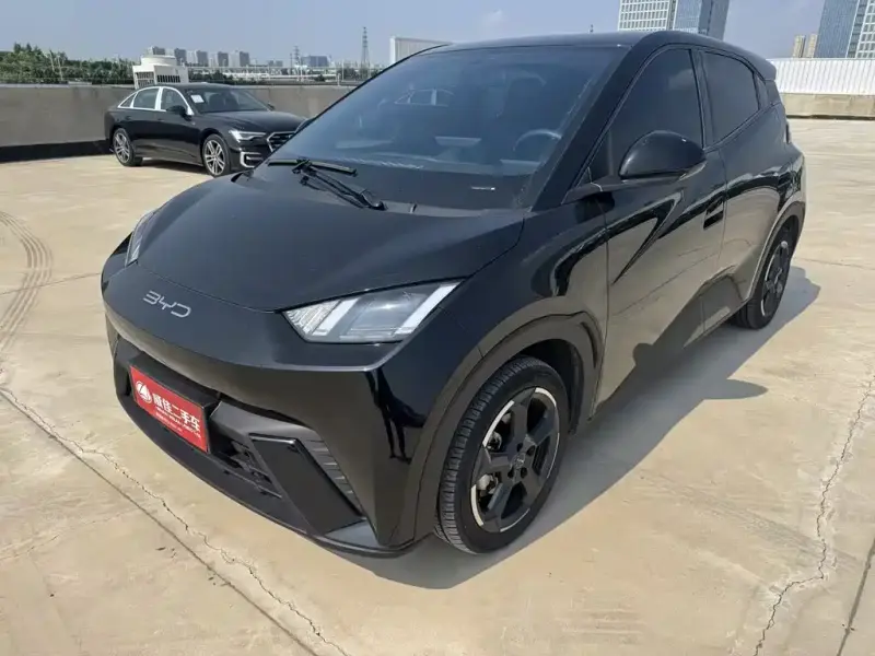 BYD Seagull, 2023
