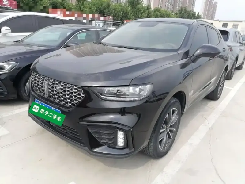 Wey VV5, 2020