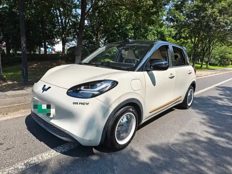 Wuling Bingo, 2023
