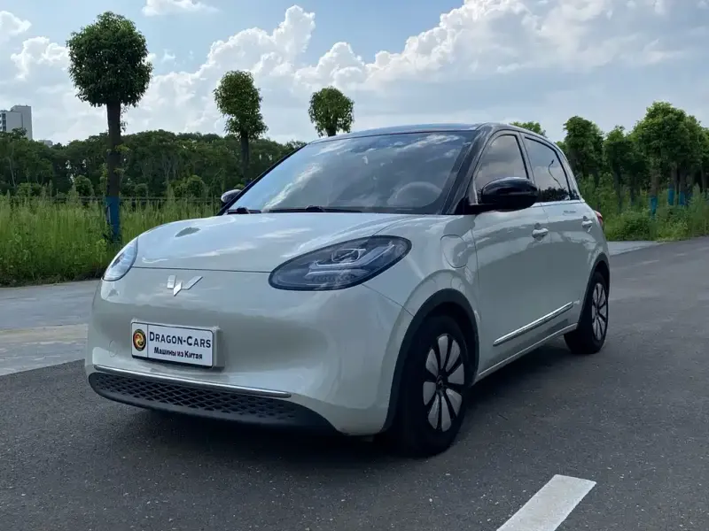 Wuling Bingo, 2023