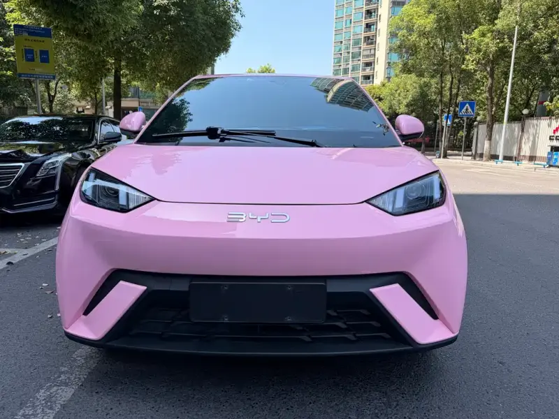 BYD Seagull, 2024
