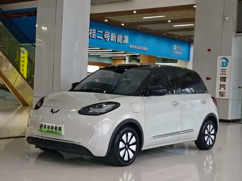 Wuling Bingo, 2023