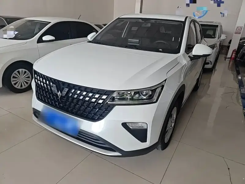 Wuling Xingchi, 2023
