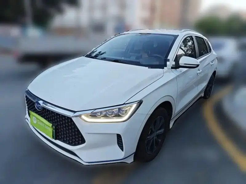 BYD e2, 2021