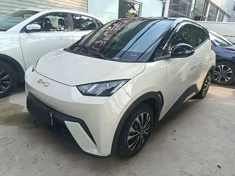 BYD Seagull, 2024