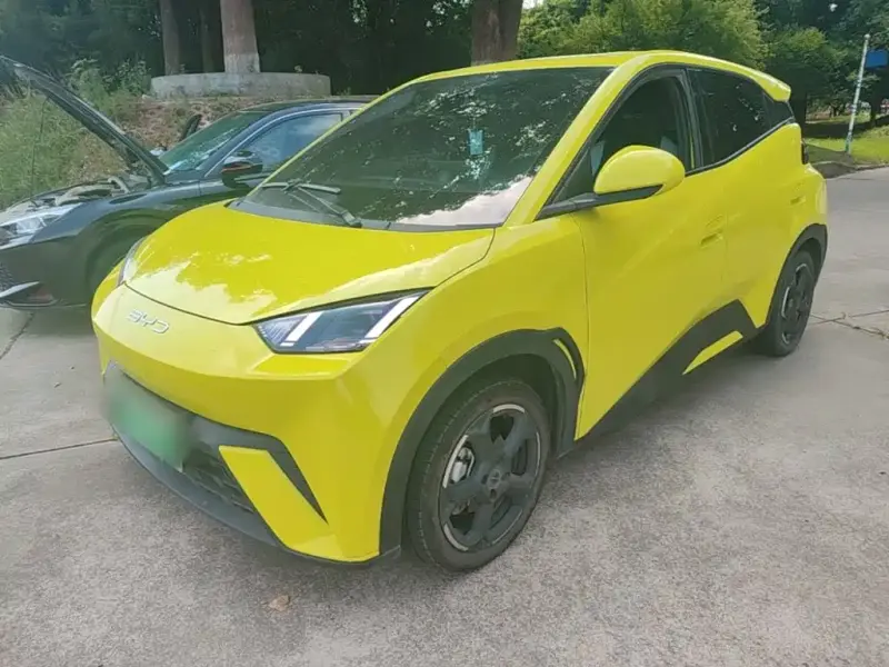 BYD Seagull, 2023