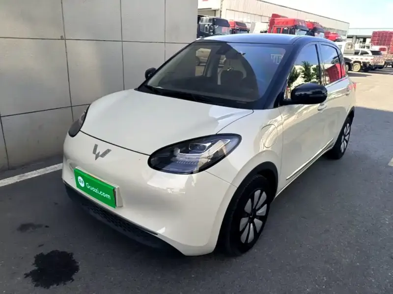 Wuling Bingo, 2023