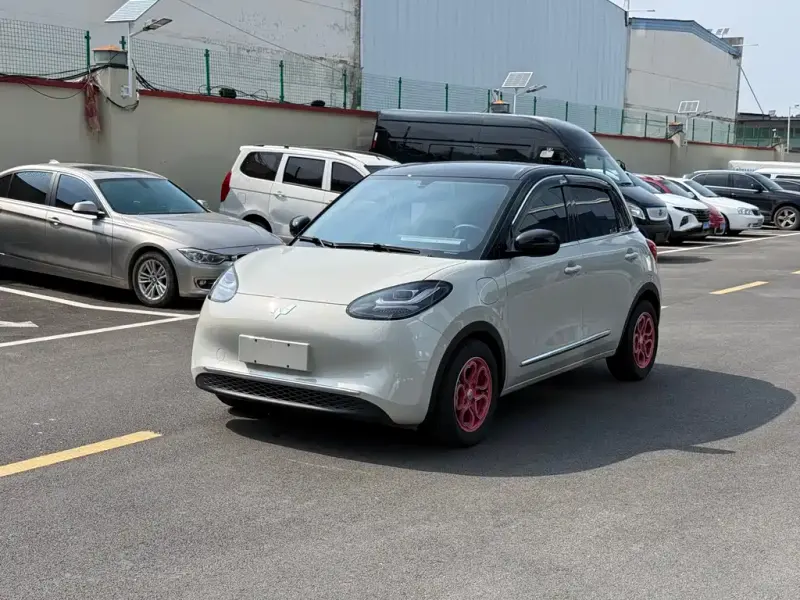 Wuling Bingo, 2024