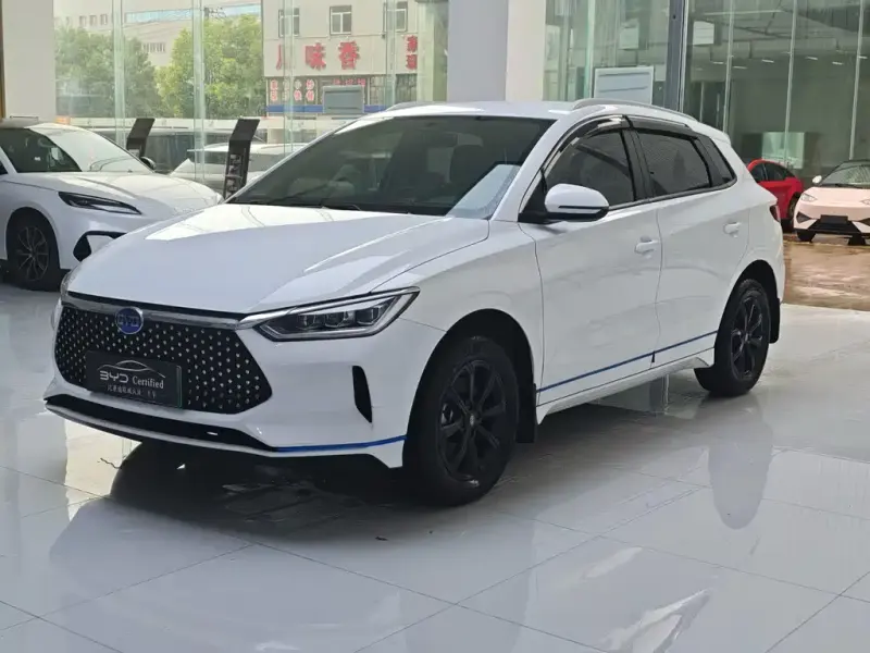 BYD e2, 2021