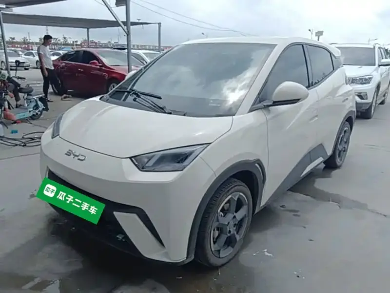 BYD Seagull, 2024