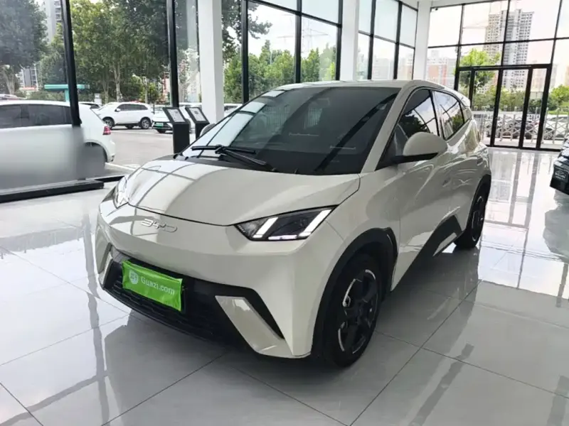 BYD Seagull, 2024