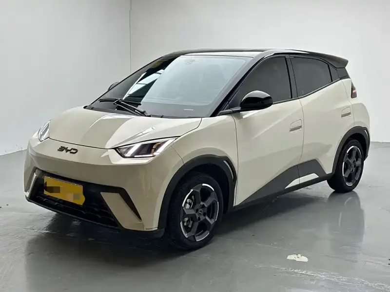 BYD Seagull, 2024