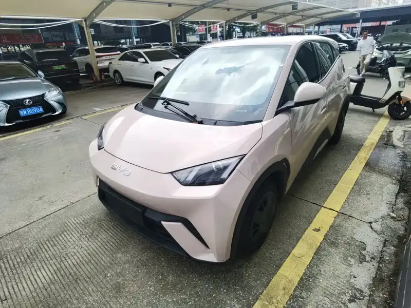 BYD Seagull, 2025