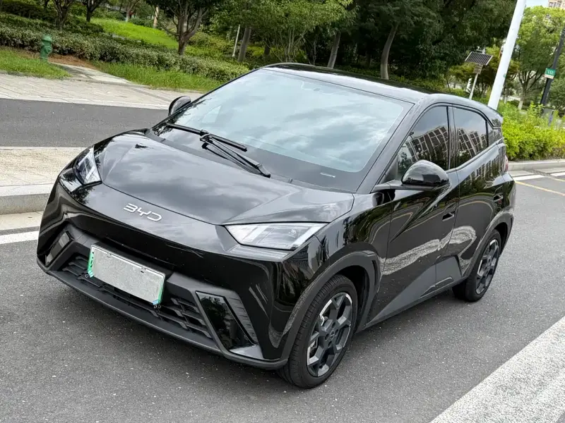 BYD Seagull, 2024