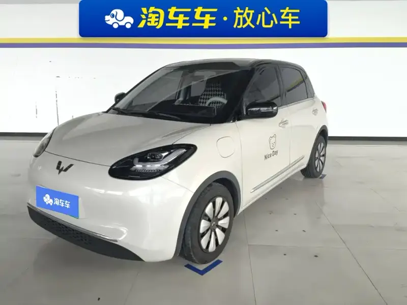 Wuling Bingo, 2024