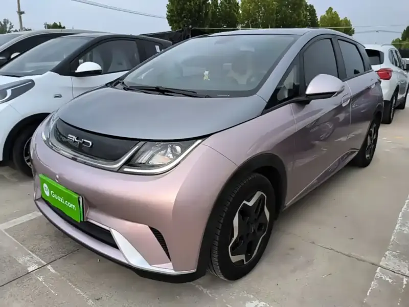 BYD Dolphin, 2022