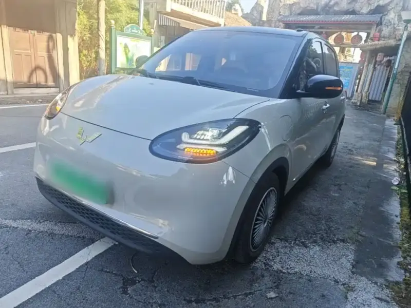 Wuling Bingo, 2024