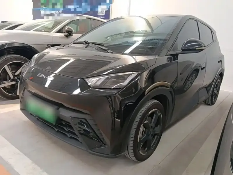 BYD Seagull, 2024