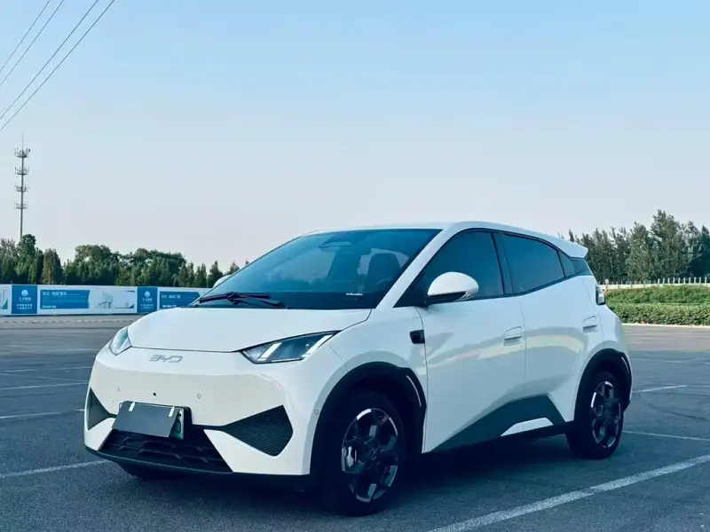 BYD Seagull, 2025